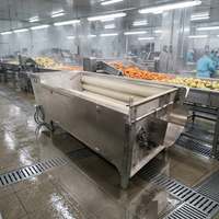 HXJ Automatische Motor Aardappel Wortel Gember Schil- en Wasmachine met Rolborstel