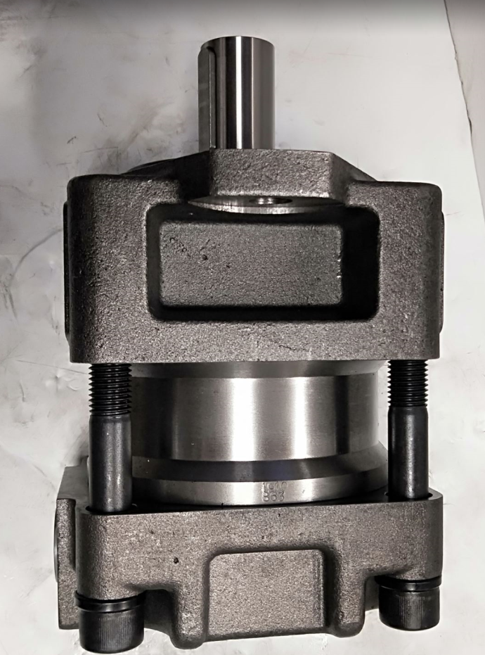 QT6252-100-63-BP-Z Hydraulic Gear Pump for Injection Molding