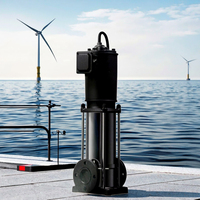 Pompe centrifuge en acier inoxydable série BVE, ultra haute pression, moteur CC 0,5 CV pour l'énergie éolienne