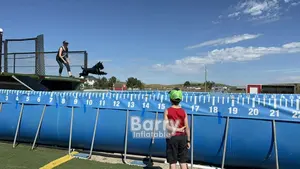 Perro de rescate volando alto <span class=keywords><strong>en</strong></span> deporte de buceo <span class=keywords><strong>en</strong></span> muelle Competición con muelle Perros con marco de metal de acero sobre el suelo piscina - Product Image 3