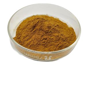 Extrait de fleur de chèvrefeuille naturel à base de plantes, échantillon gratuit - Product Image 4