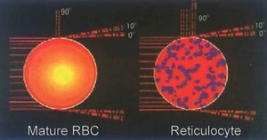 جهاز تحليل الدم الآلي للحيوانات من URIT ذو <span class=keywords><strong>5</strong></span> أجزاء مختلفة طراز 5160Vet - Product Image 2
