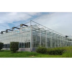 Invernadero de vidrio templado Venlo para interiores, invernadero de alta eficiencia
