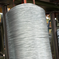 Bobine de fil d'acier galvanisé laminé à chaud de 2,1 à 3,0 mm de diamètre, fournie par l'usine, pour clôtures et filets d'élevage, avec services de découpe et de pliage