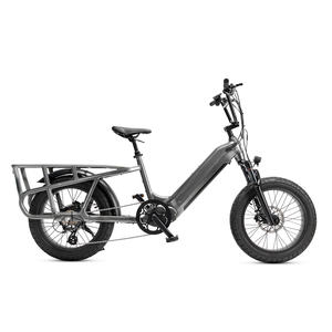Vélo cargo électrique à deux roues le plus populaire de Mario pour la famille - Product Image 5