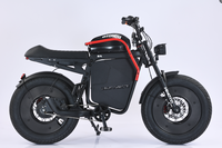 Vente flash Moto hybride tout-terrain 48V avec éclairage LED, cache-batterie, absorption des chocs pneumatique, grande roue WIN RIDER WR-X1