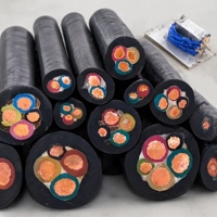 FUCHANG 450/750V YC Rundes Flexibles Kupferkabel 2- oder 5-adrig Schwarz OEM 2,5mm-240mm Gummiisolierung für Industrielle Anwendung 30A