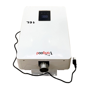 הסיטונאי גז חכם מים חמים גז דיגיטלי מחמם מים גז דיגיטלי - Product Image 5