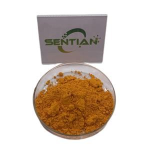 Extrait de racine de curcuma Longa naturel curcumine 95% extrait de curcuma poudre de curcumine curcumine - Product Image 1