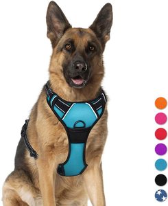 Custom Logo OEM Cheap <strong>Price</strong> Comfortable Wholesale Heavy Duty High Quality Adjustable No Pull Luxury Neoprene Nylon Dog <strong>Harness</strong> - Product Image 1
