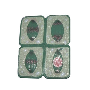 Biologische Lehrinstrumente Pflanzenzellen-Mitose-Modelle PVC Langlebige Histologie- und Zytologie-Färbemittel - Product Image 2