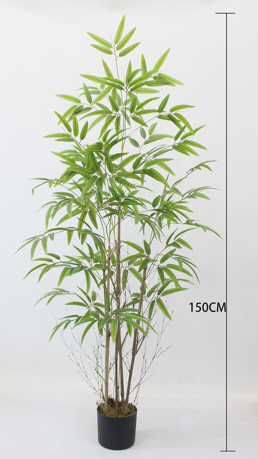 Green-150