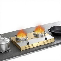 Cuisinière électrique chinoise double foyer 6000W à poser, écologique, avec effet de flamme et garantie de deux ans
