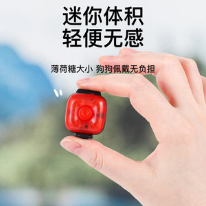 Led <b>Dog</b> <b>Light</b> Up Pendant Red Plastic <b>Night</b> <b>Walking</b> Anti Lost <b>Light</b> <b>For</b> Pets - Product Image 2