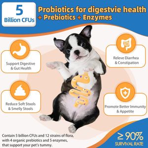 Private Label Pet Multivitamin Powder 15-in-1 Fast Absorption Safe 100% Natural Ingredients Support Digestive Health Joint Bone - Product Image 3