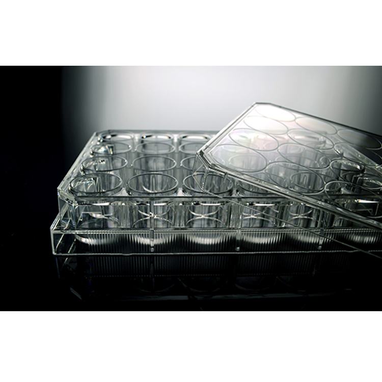 Laboratoire stérile traitée plaque de culture tissulaire 24 plaque de puits