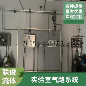 Sistema Modular de Vías de Gas para Laboratorio de Fluidos Lianjun QL-01 de Acero Inoxidable - Product Image 5