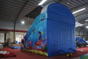 Glissière d'eau gonflable commerciale d'enfants d'adultes glissière d'eau gonflable de dauphin de double ruelle - Product Image 6