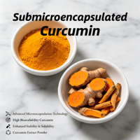 Poudre de Curcumine Submicronisée 7% de Concentration Qualité Alimentaire Herbes et Épices Extraits Végétaux Sauvages Certifiés ISO