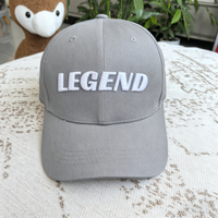 Op maat gemaakte logo 3D borduurwerk 6-delige baseballcap gestructureerde katoenen twill verstelbare unisex groothandel puff fabrikant petten gorras