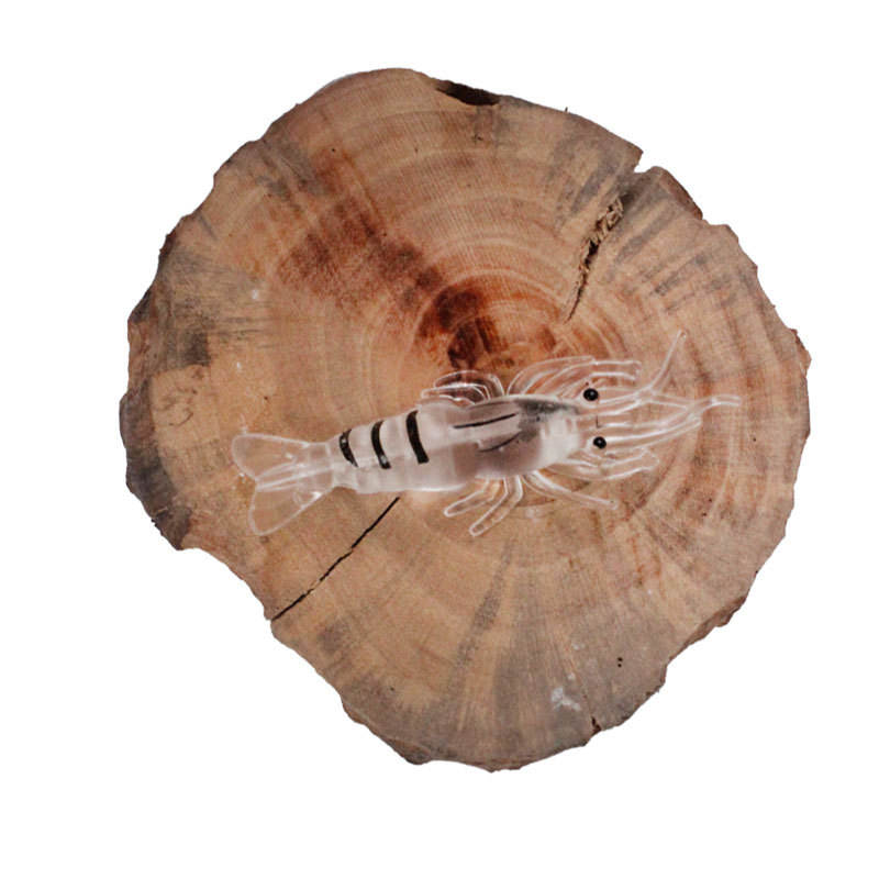 Colore F 10 pezzi/confezione