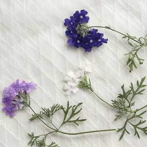 Sud-américain Fausse <span class=keywords><strong>Verveine</strong></span> Petite <span class=keywords><strong>Verveine</strong></span> Avec Branche Fleurs Pressées Résine Oeuvre Cadre DIY Artisanat Bougie Epoxy - Product Image 5