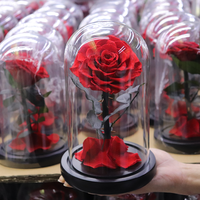 Roses éternelles conservées en gros du Yunnan, boîte en verre avec dôme pour cadeaux de la Saint-Valentin, Noël, décoration - Longue durée de vie 3-5 ans