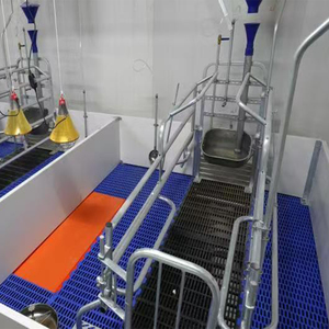 Soluciones Completas para Parideras: Jaulas, Acolchado y Equipamiento para Cerdas - Product Image 3