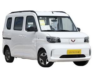 Venta Especial: Camioneta Eléctrica de Carga 2025, 305 km de Autonomía, Batería de 30.6 kWh, Motor de 30 kW, Edición Avanzada, Vehículo de Nueva Energía - Product Image 1