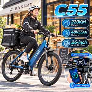 จักรยานไฟฟ้า Chamrider Wholesale 750W รุ่น Step-Thru 48V 55Ah ยางขนาด 26x3.0 นิ้ว แรงบิด 80 นิวตันเมตร เบรกดิสก์ไฮดรอลิก จักรยานส่งของ C55 - Product Image 1