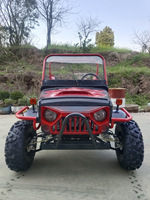 Voiture Buggy Économique, Quad, UTV, 2 places, 4 places, 4x4, 200cc, 300cc, 350cc, 1000cc, Karting, Voiturette de Golf, Jeep pour Adultes