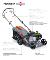 Cortadora de Césped LEO LM40Z-L(B&S300E) a Precio Económico, Herramientas de Jardín Industriales, Cortadora de Césped Autopropulsada de Gasolina