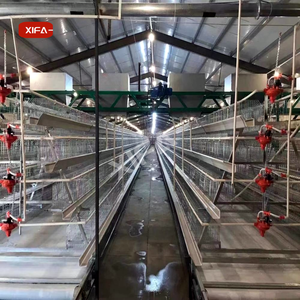 Fourni Bonne Qualité Coop Corée du Sud Poulailler Poulailler Elevage de Poulet Poulailler en Bois avec Boîte Oeuf Inférieur Cassé Taux 62 - Product Image 2