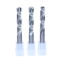 En stock Foret hélicoïdal à queue droite à 2 cannelures pour maquillage de précision