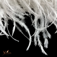 Boa en Plumes d'Autruche Moelleuses Personnalisables (15-18 cm) pour Costumes de Défilé, Spectacles Scéniques, Robes de Soirée et Confection de Vêtements – Vente en Gros