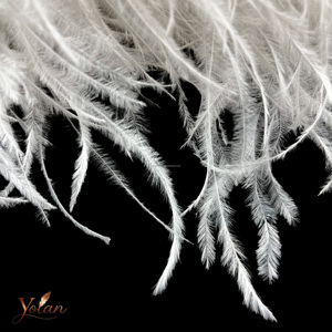 <span class=keywords><strong>Boa</strong></span> di piume di struzzo personalizzate all'ingrosso, soffici e tinte, a 6, 10, 20 strati, da 15-18 cm, 2 m, per decorazioni di matrimoni, feste, carnevale e costumi di scena - Product Image 2
