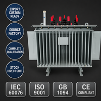 Transformateur immergé dans l'huile Wanbo-350 en stock avec refroidissement par radiateur pour distribution en sous-poste et exportation