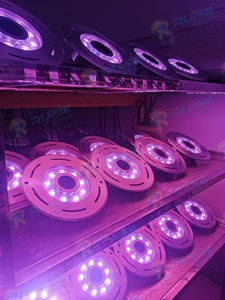 CE ได้รับการรับรอง IP68 304สแตนเลส DMX RGB RGBW LED หัวฉีด12V 24V กันน้ำน้ำพุใต้น้ำเต้นรำ DMX512<span class=keywords><strong>เพลง</strong></span> - Product Image 4