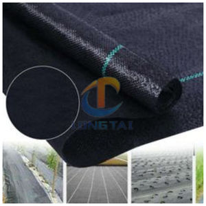 السيطرة على الأعشاب الزراعية ، غطاء بلاستيكي زراعي شاندونغ جودة ذهبية بيع مباشر من المصنع - Product Image 3