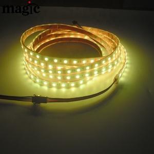 RGB <span class=keywords><strong>Led</strong></span> Strip 60LEDs Mỗi Mét 24V <span class=keywords><strong>12V</strong></span> SMD5050 IP67 Mềm Silicone Ống Không Thấm Nước RGB <span class=keywords><strong>Led</strong></span> Strip - Product Image 5