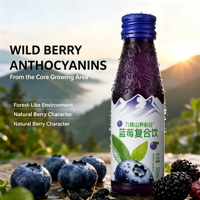 Gemengd Bessensap Geschenkset 6 Glazen Flessen 100ml Framboos Cranberry Rijp Nectar Familie Bruiloft Blauwe Bes Fruitdrank