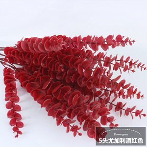 5 Đầu Vĩnh Cửu Rotundifolia Bảo Quản Bạch Đàn Trang Trí Tán Lá Bó Hoa Khô Bạch Đàn Lá Tròn - Product Image 3