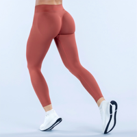 Legging Seamless Wanita dengan Logo Custom Private Label, Pinggang Sedang, Pinggang V-Back, Kontur Bokong, untuk Gym