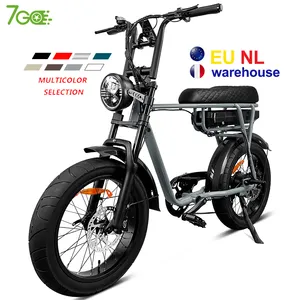 7Go 20 Inch Electric Bike Vintage E-bike 48v 750w Super Bikes 73 Style long seat Electric Bicycle