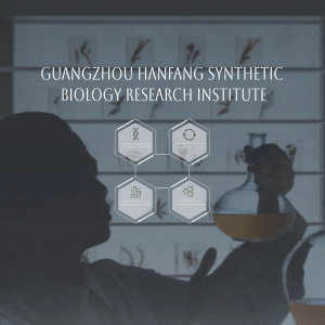 <span class=keywords><strong>Mascarilla</strong></span> facial de lavanda-Antiinflamatorio calmante fermentado <span class=keywords><strong>para</strong></span> la <span class=keywords><strong>piel</strong></span> <span class=keywords><strong>sensible</strong></span> aceitosa del acné, máscara purificadora de poros de reducción de enrojecimiento - Product Image 6