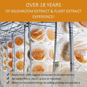 Qinshantang Organik 1Kg Çin Saf Cordyceps Sinensis Militaris Mantar Ekstresi Tozu - Product Image 2