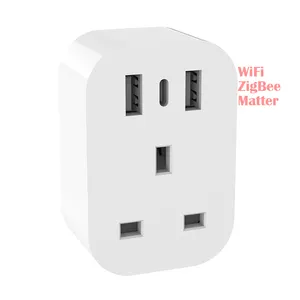 Fabricante Reino Unido Tuya Smart Home 4G WiFi Mini Smart Power Socket Plug con USB Tipo C