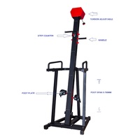 Appareil de cardio-training vertical Commercial Stair Climber avec moniteur numérique et compteur de pas pour salle de sport et studio DFT-D1000