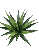 Nouvelles plantes artificielles TREESMAS LX020 en gros pour décoration intérieure/extérieure 83*100cm en plastique sisal épais, designs personnalisés, Chine