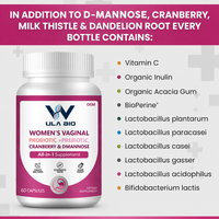 Complément Probiotique et Prébiotique Quotidien pour Femmes Adultes, avec D-Mannose et Complexe de Canneberge, Soutien Immunitaire, 60 Capsules, OEM, Marque Privée, Vente en Gros